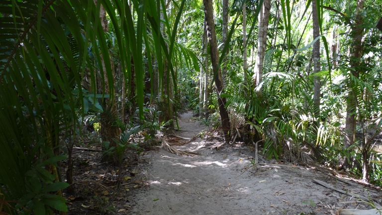 Walk zu den Cascades
